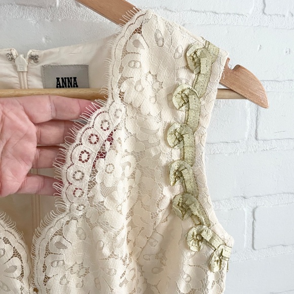 NWT Anna Sui Anthropologie Lonoke Crochet Ivory Cream Lace Sheath Dress Size 0 - Picture 8 of 16